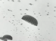 Herdenking parachutistenlanding op Ginkelse Heide